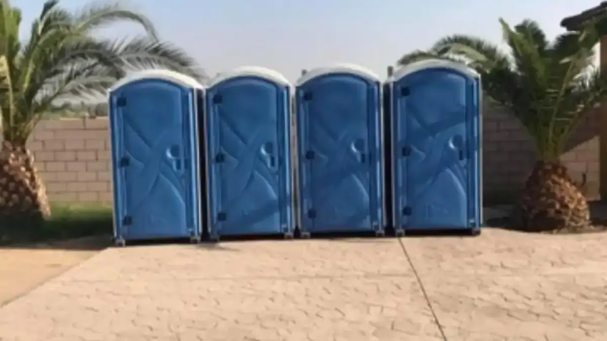 Four blue standard porta potties lined up between palm trees on a sunny lot